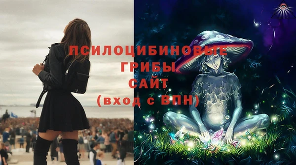 спайс Алзамай