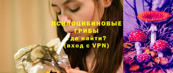 эйфоретик Алексин