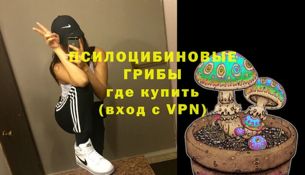 эйфоретик Алексин